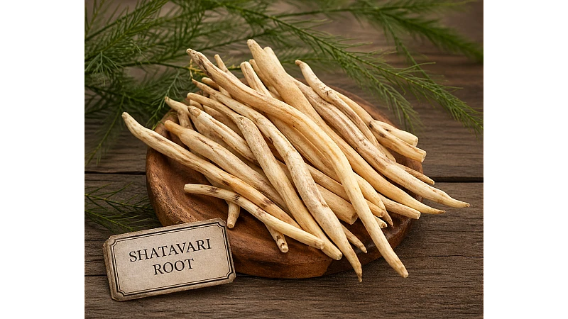 Buy Shatavari Roots (White) Online | Benefits, Uses & Price in India