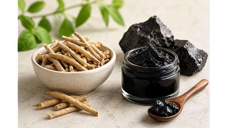 Shilajit vs Ashwagandha: Differences, Benefits, Usage & Which Is Better?