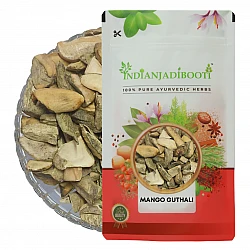 Mango Seed (Kernel) (Edible) - Aam Guthali (Giri) - Aam Magaz - Mangifera Indica by IndianJadiBooti