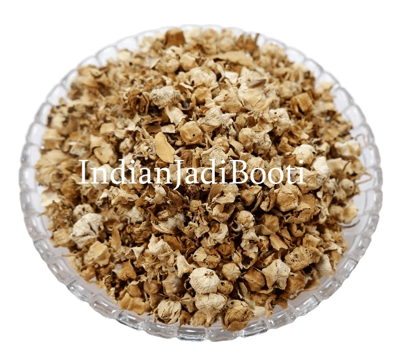 White Aak Phool (Dried)- Madar Flower - Aakda Phool - Aankde Ka Phool - Calotropis Gigantea