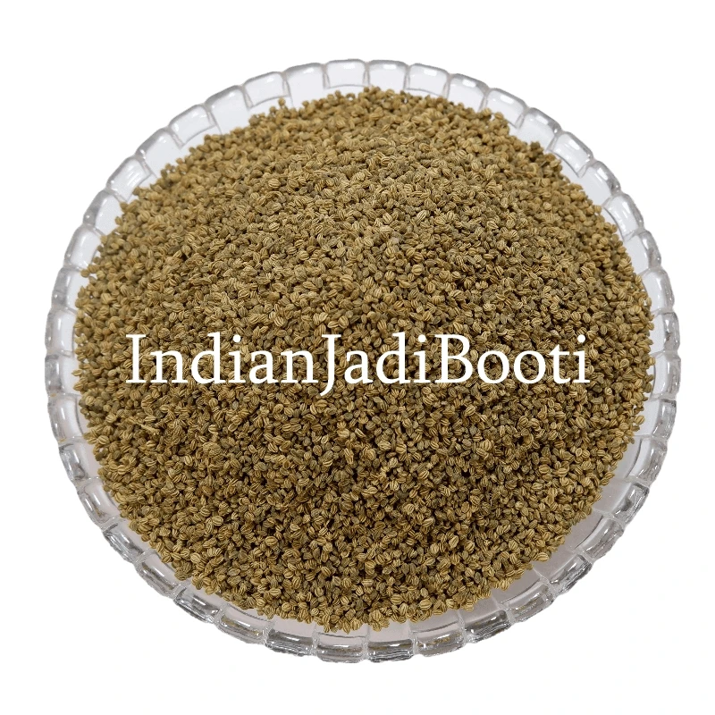 Ajwain - Carum Copticum - Carom Seeds - Ajowan - Omam- Thymol - Trachyspermum Ammi