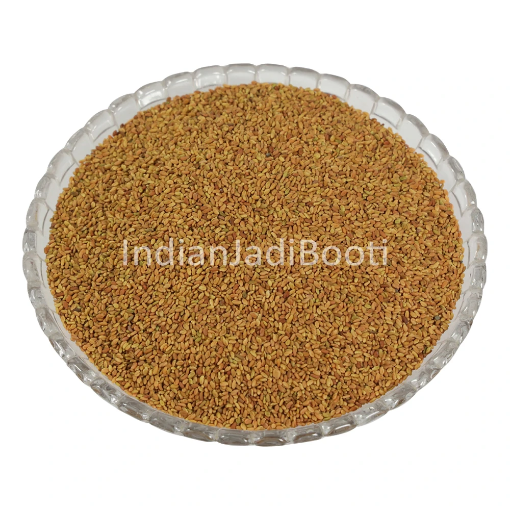 Methi Dana - Fenugreek Seeds - Trigonella foenum-graecum