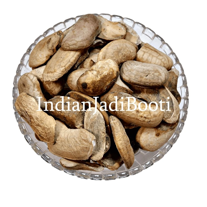 Mango Seed Kernel - Aam Guthali Giri - Aam Magaz - Mangifera Indica