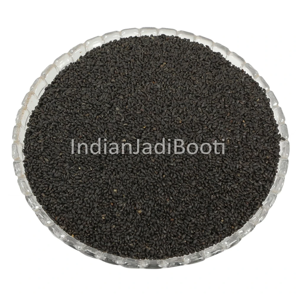 Tukmaria Big Seeds - Sabja Seeds - Ocimum basilicum