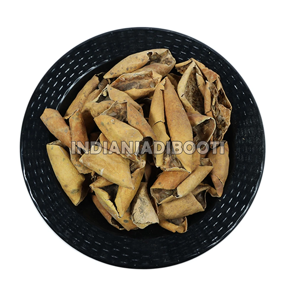 Indrayan (Phal) - Indrain Fal - Tumba - Indrayun - Bitter Apple - Citrullus Colocynthis