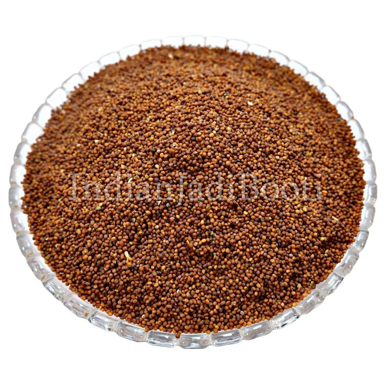 Rai Seeds - Raiseed - Red Mustard Seeds