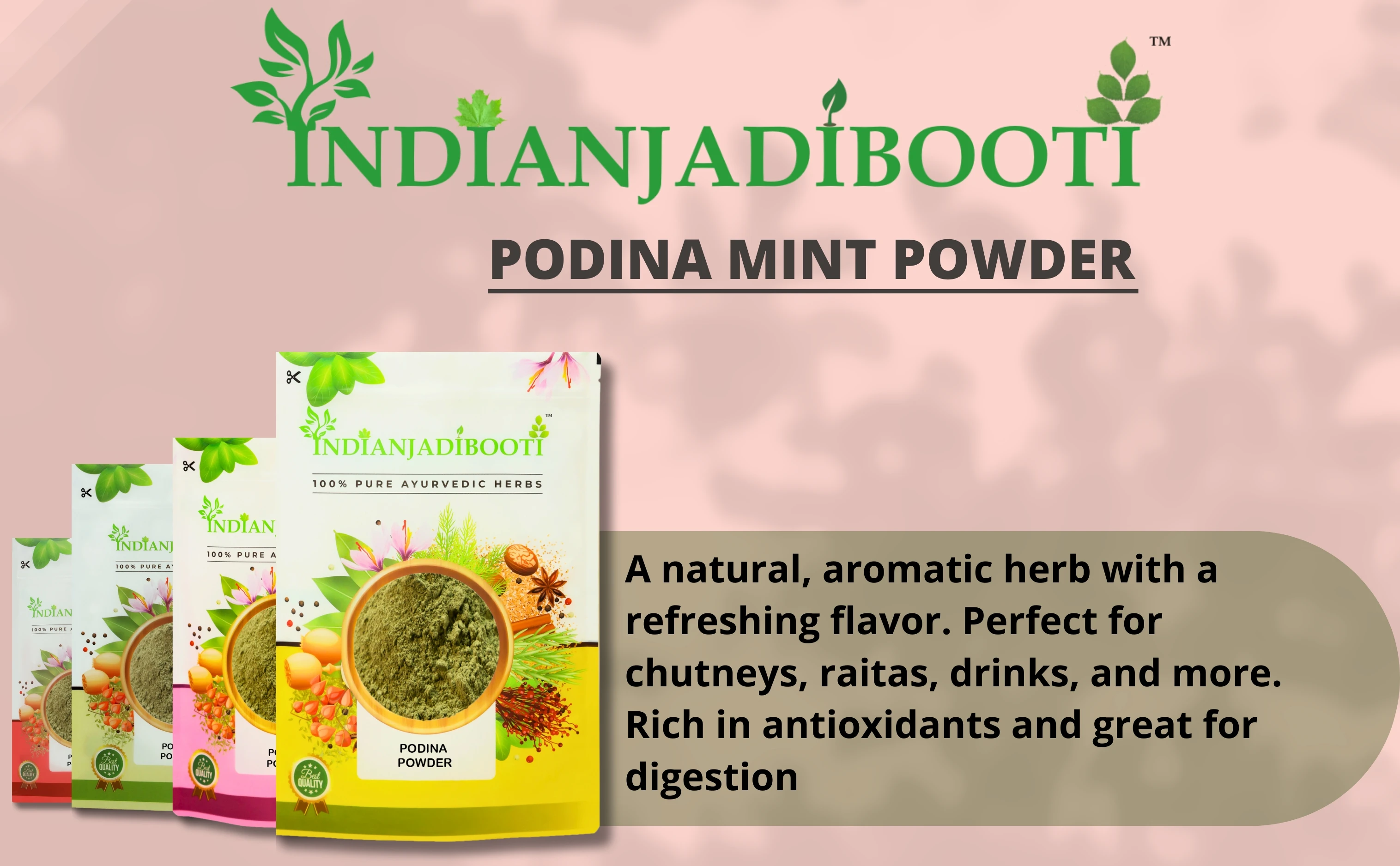 Podina Mint Powder