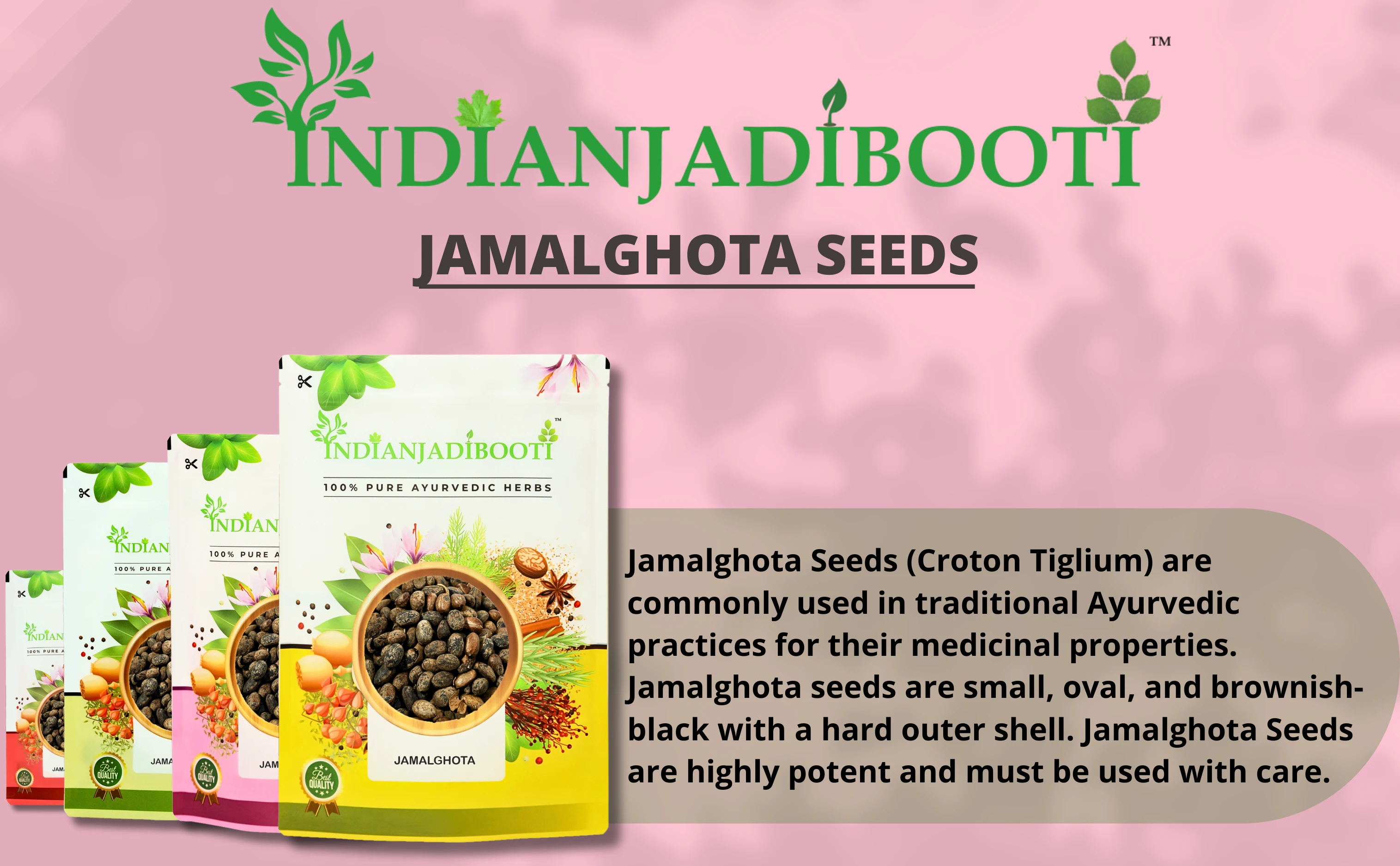Jamalghota Beej