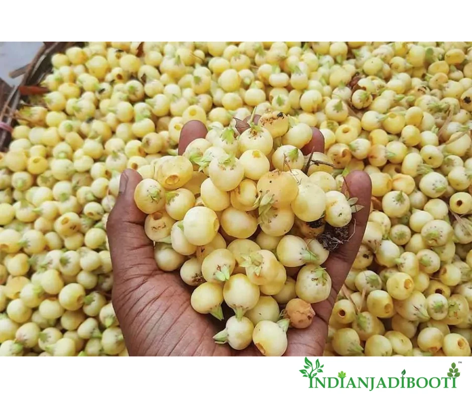 Mahua  Flower