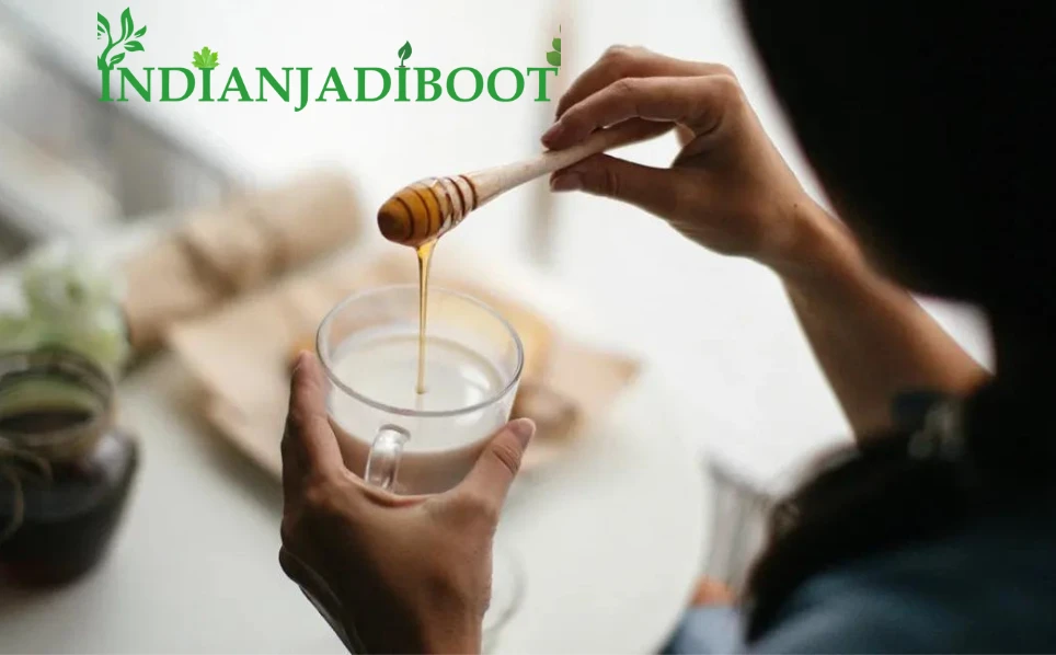 Punarnava Roots (Powder) - Boerhavia Diffusa - Sathi Jadd Powder - Satodi - Red Spiderling - Itsit - Spreading Hogweed - Tarvine - Pigweed by IndianJadiBooti