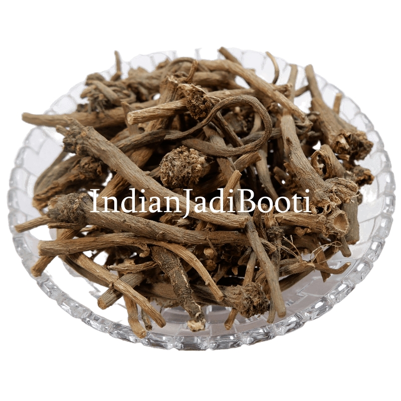 Akarkara Roots - Anacyclus pyrethrum - Pellitory Roots - Pellety Roots