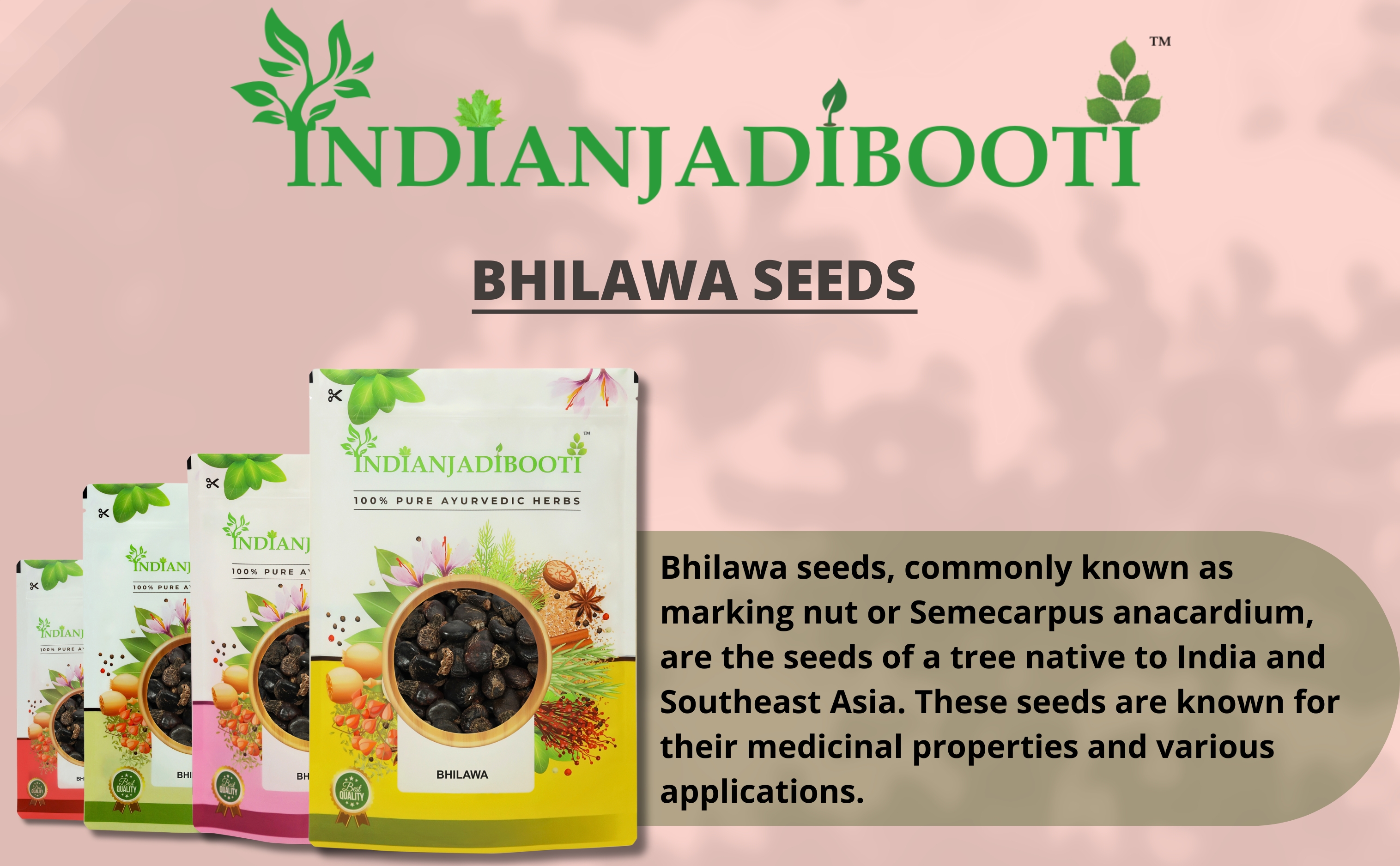 Bhilawa Seeds