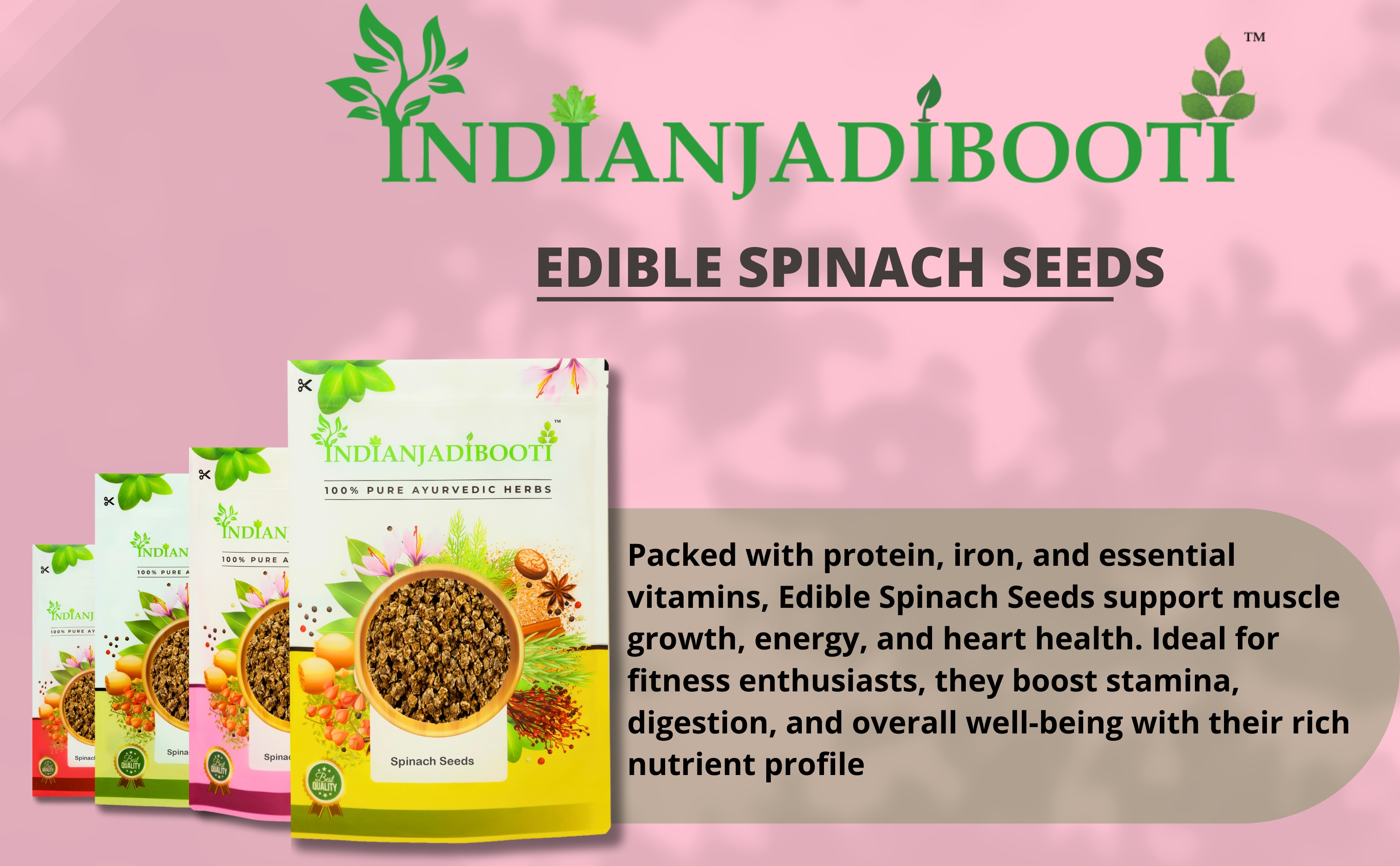 Spinach Seeds
